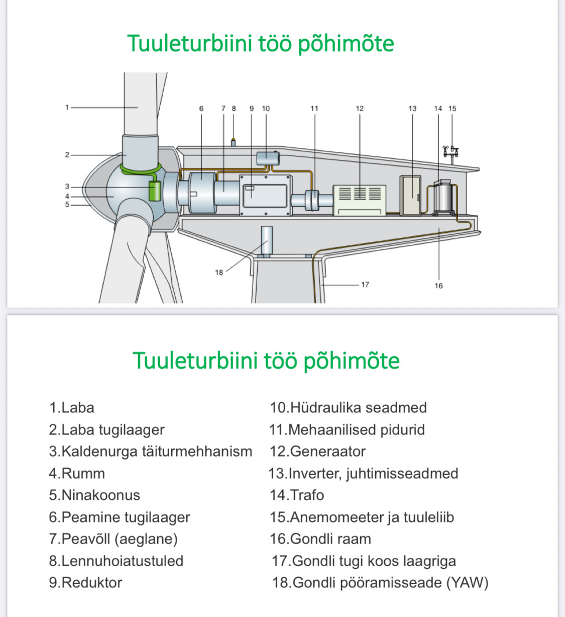 Tuuliku gondli sisu
